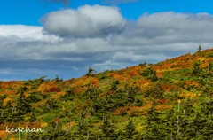 三宝荒神山