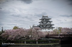 墨俣城の桜