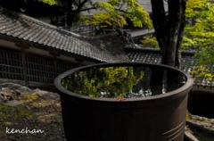 かめ