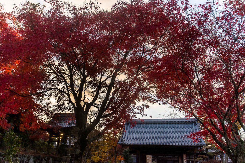 如意寺2