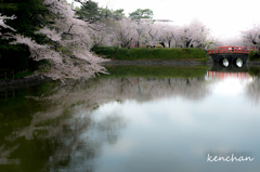 亀城公園の桜Ⅱ