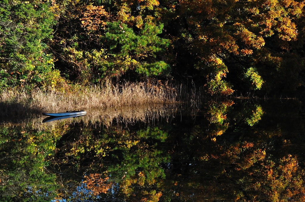 古いボートのある池