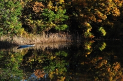 古いボートのある池