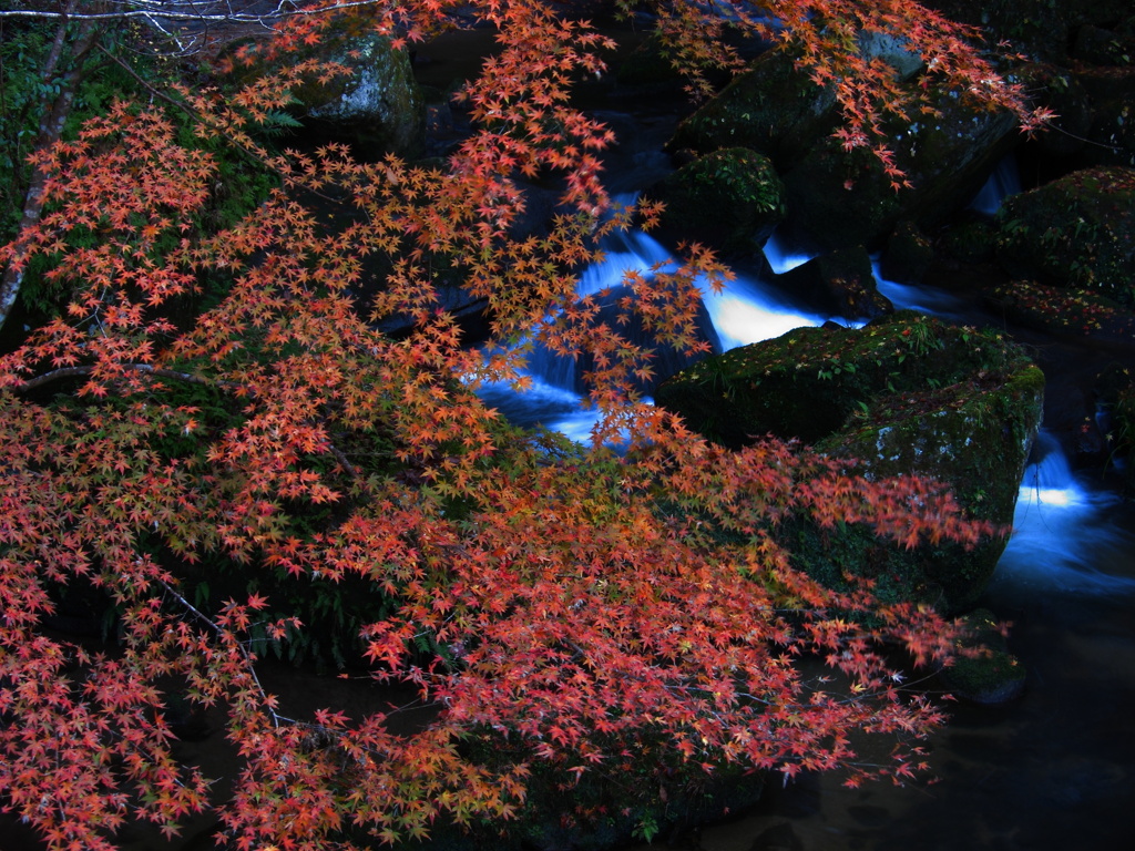 大滝渓谷2009⑯