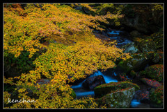 大滝渓谷2012（4）