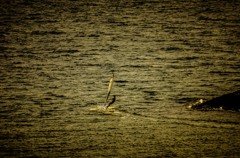 Golden Time