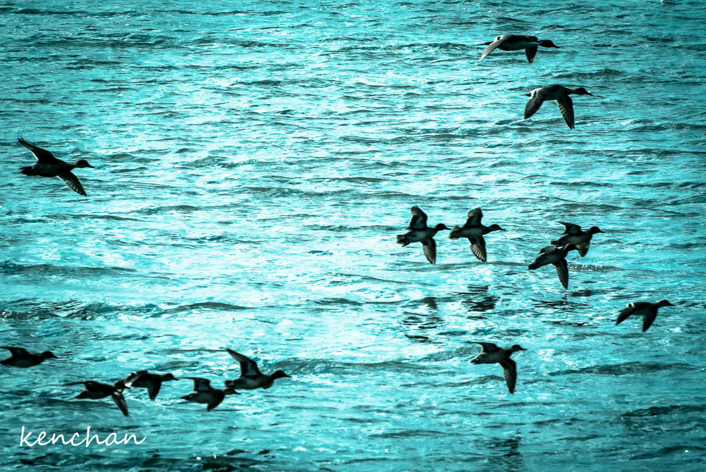 Flap