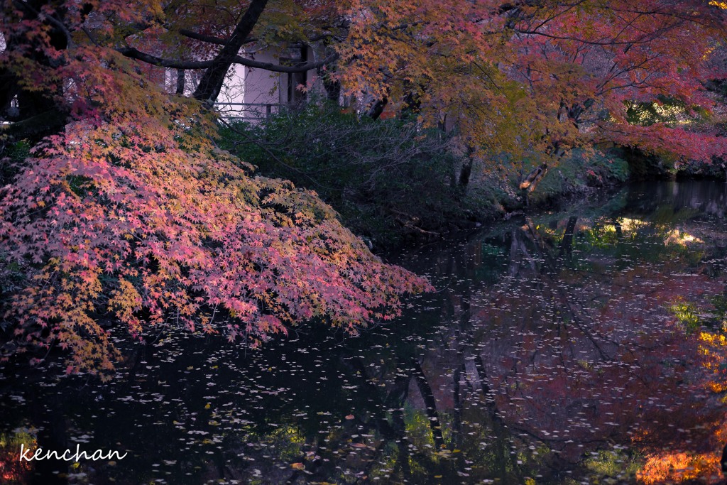 松平東照宮②