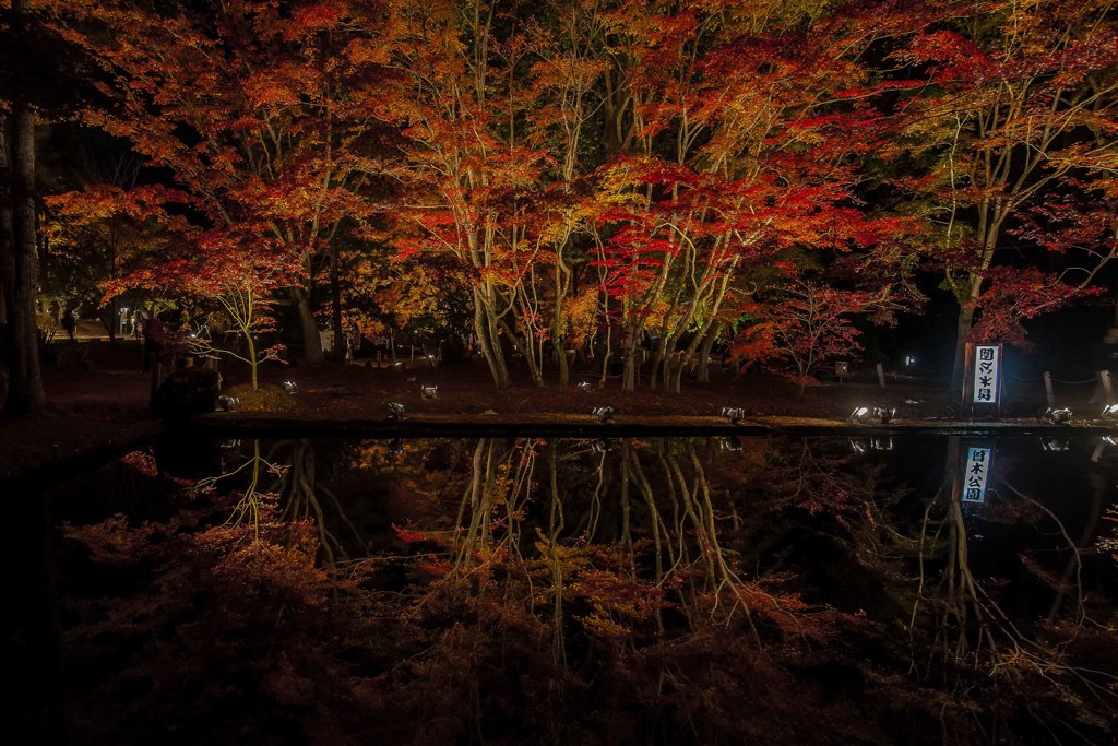 曽木公園の紅葉③