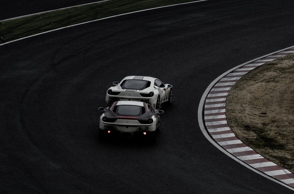 nose to tail