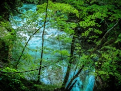 渓流