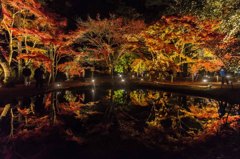 曽木公園の紅葉⑤