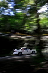 新城ラリー2010①