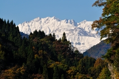 奥裾花から見た白馬