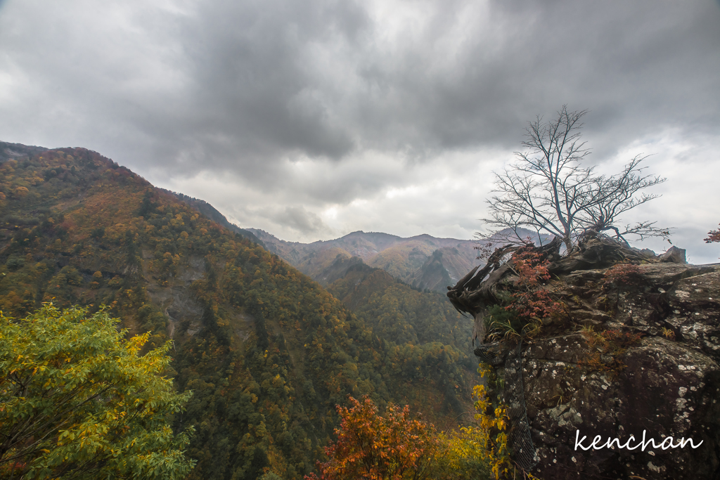 白山ｽｰﾊﾟｰ林道1