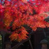 徳源寺の紅葉2