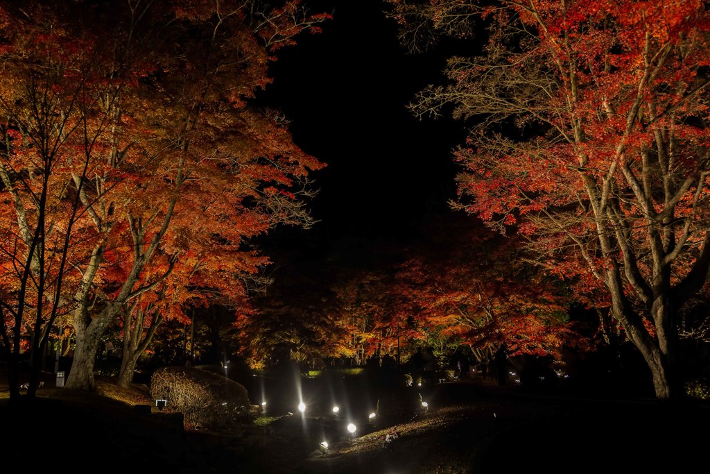 曽木公園の紅葉①