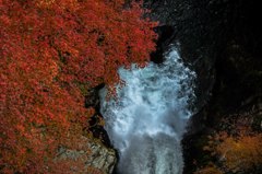 滝壺と紅葉