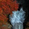 滝壺と紅葉