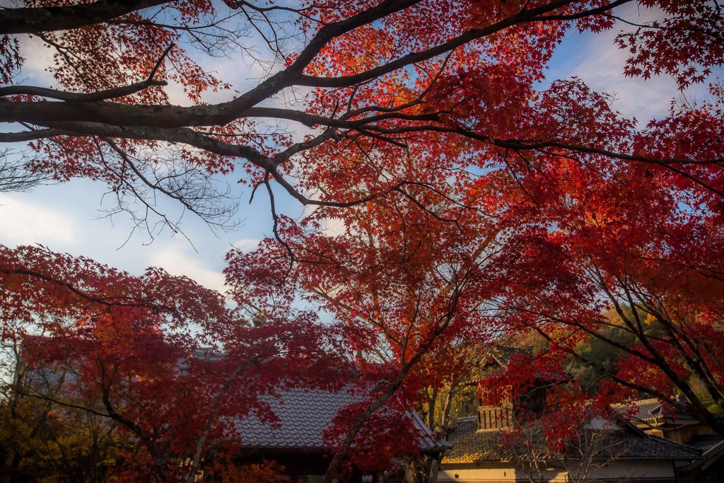 如意寺
