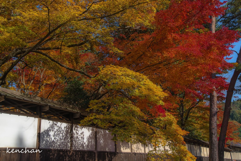 中野邸美術館 