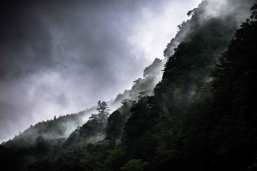 秋雨