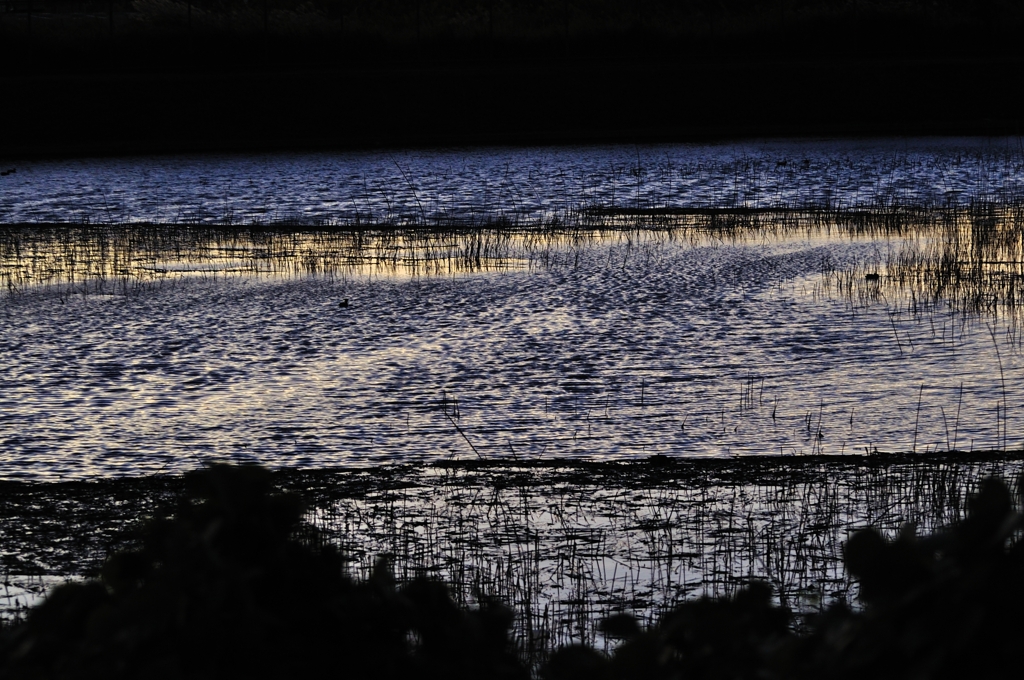 夕闇に浮く池