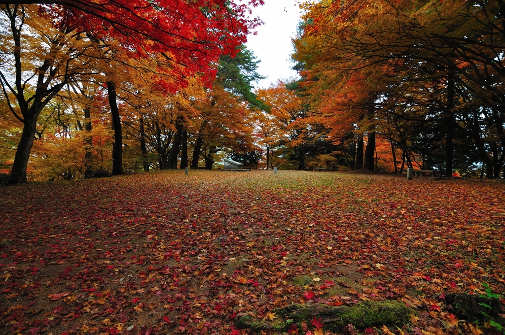 高山城　本丸跡にて