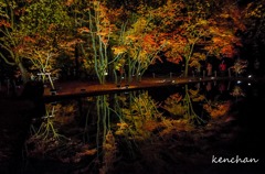 曽木公園の水鏡