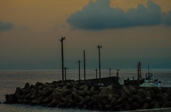 朝釣