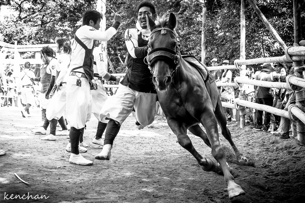 そこのけそこのけお馬が通る
