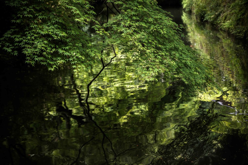 新緑の松平郷