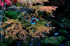 龍門橋からの紅葉