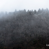 春の雪