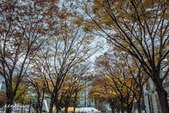 白川公園