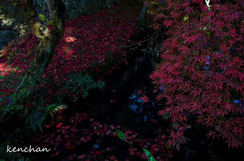 永澤寺の池