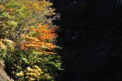 奥裾花渓谷の秋