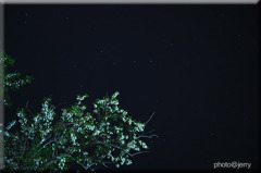 ｱｶｼﾔの花と北斗七星