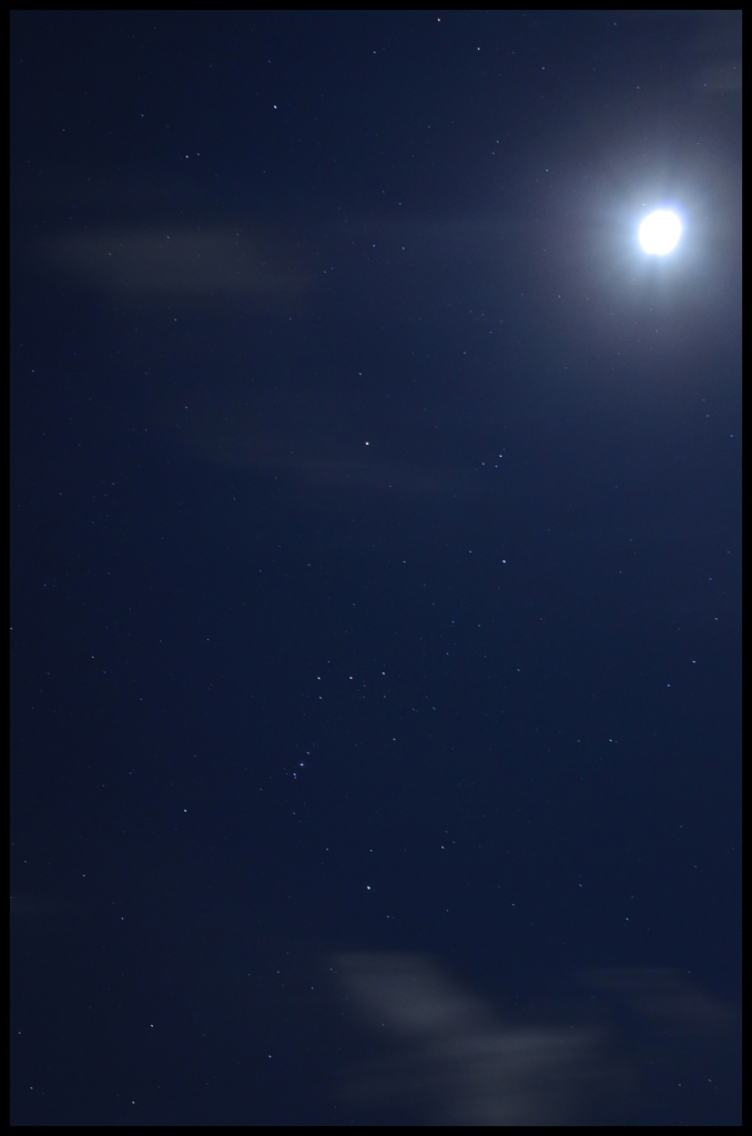 天空の城ﾖﾘ　#2