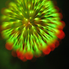 メルヘンちっく花火