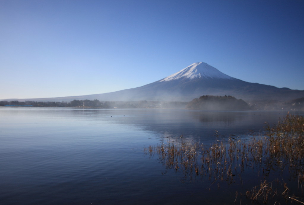 朝靄