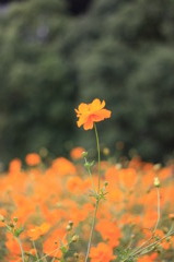 もっと高く…
