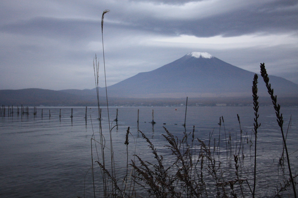 秋の富士山