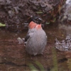 気をつけ－！