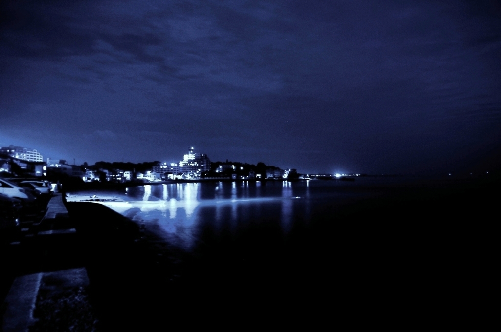 海浜公園・夜