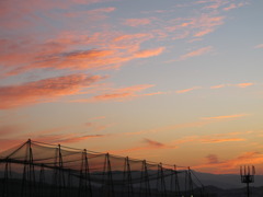 Red cloud