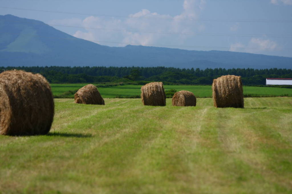 北海道