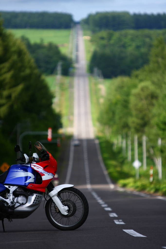定番北海道