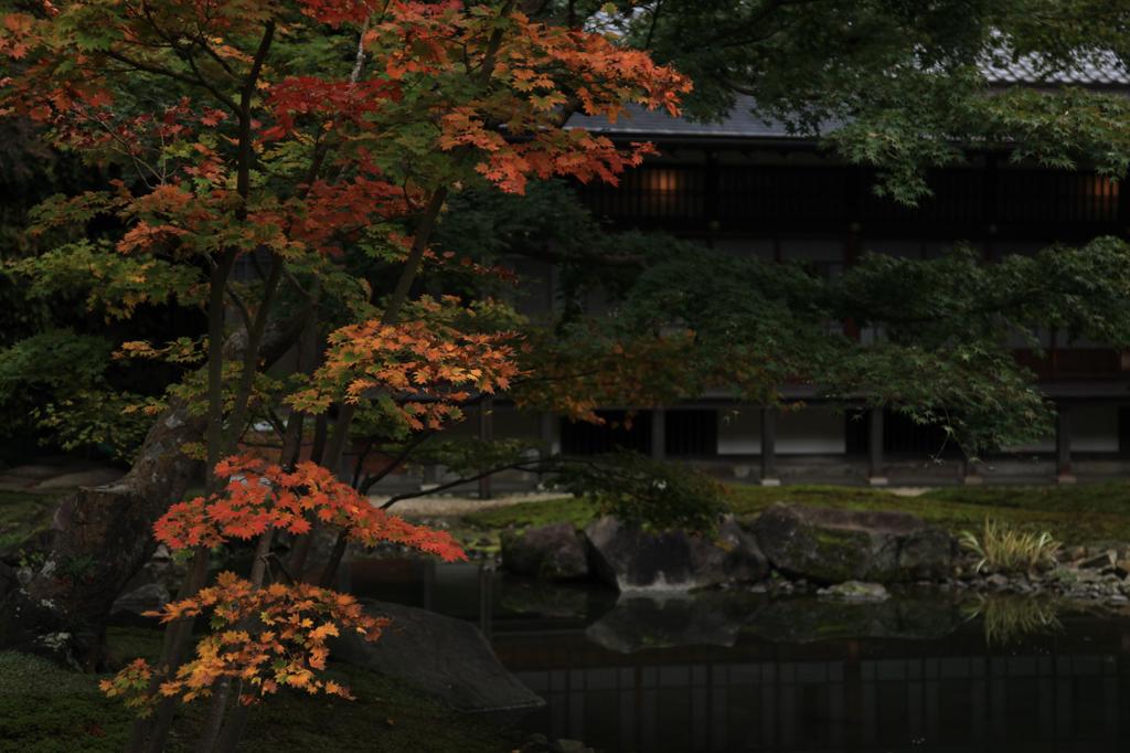 庭園