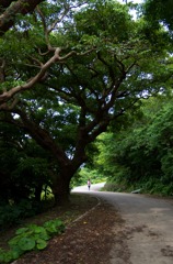 城下道